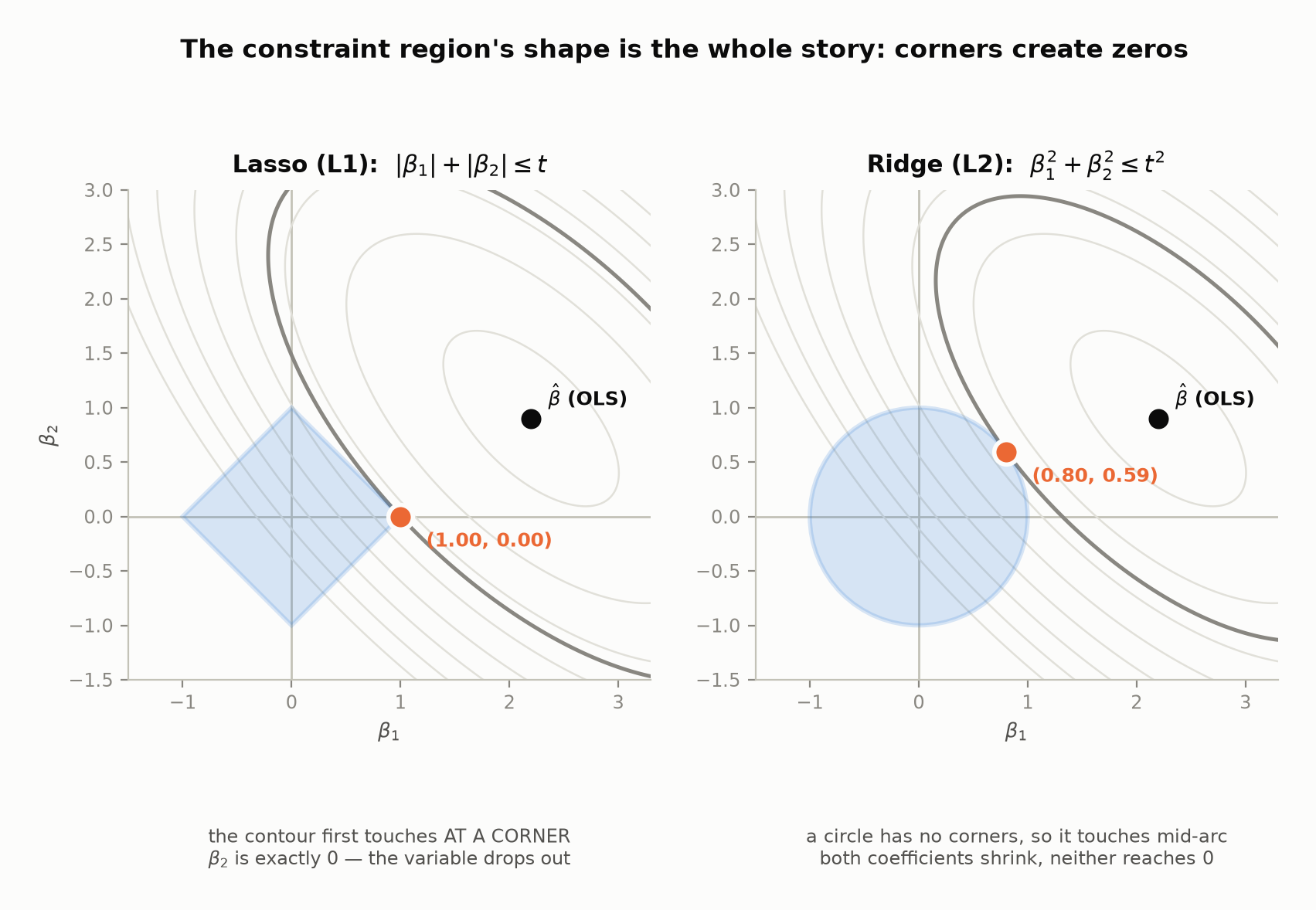 Two panels showing the same elliptical squared-error contours around the OLS estimate. Left, the L1 diamond constraint: the contour first touches at the diamond's corner on the horizontal axis, at (1.00, 0.00), so the second coefficient is exactly zero. Right, the L2 circular constraint: the contour touches part-way along the smooth arc at (0.80, 0.59), so both coefficients are shrunk but neither is zero.